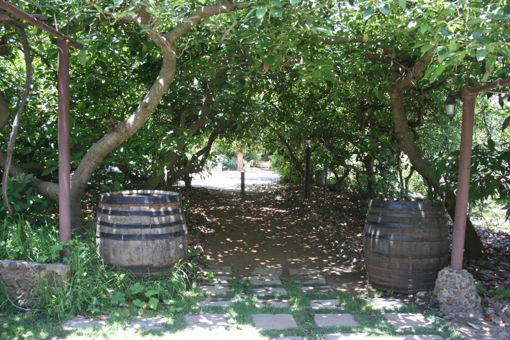 Finca El Vergel Rural Тегесте Экстерьер фото
